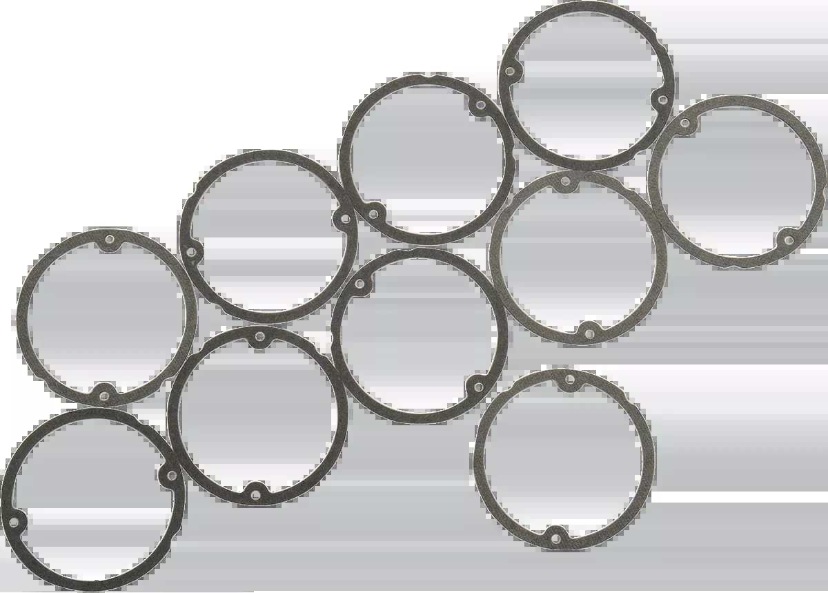 Turn Signal Lens Gasket - FX