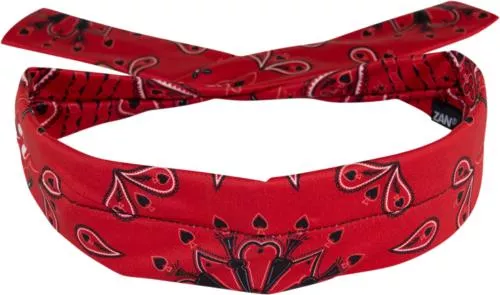 ZAN HEADGEAR Polyester Cooldanna Red Paisley DP106